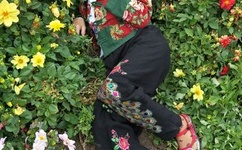 怪侠欧阳德演员表